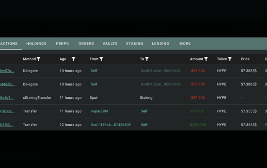 Whale Stakes $32.87M in HYPE as Token Trades 25% Below Its June Peak