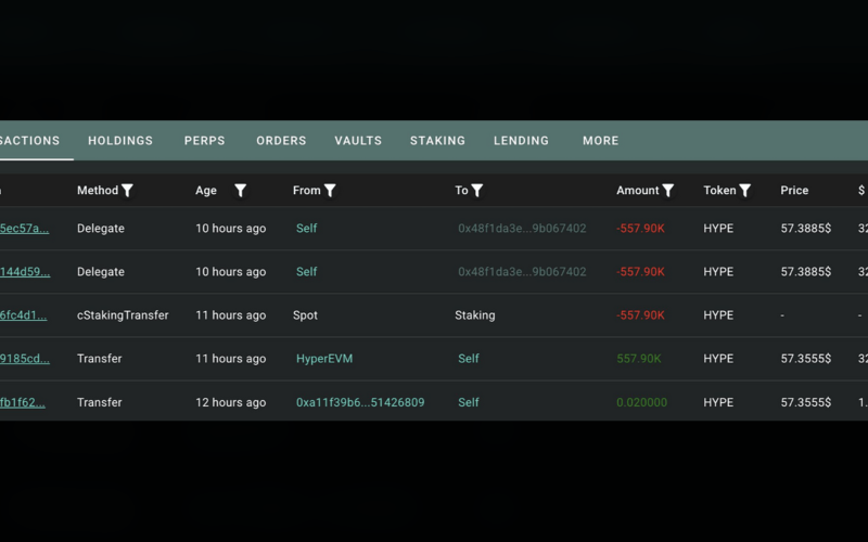 Whale Stakes $32.87M in HYPE as Token Trades 25% Below Its June Peak