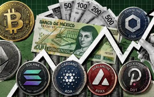 What Comes After This Bear Market