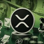 XRP Ownership Brackets: How Much XRP You Need to Reach the Top Holders