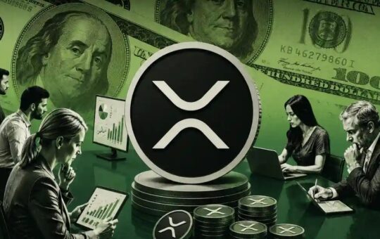 XRP Ownership Brackets: How Much XRP You Need to Reach the Top Holders