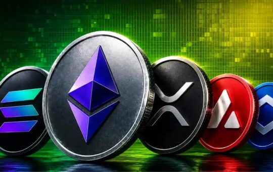 top Altcoin Insights for August and Beyond