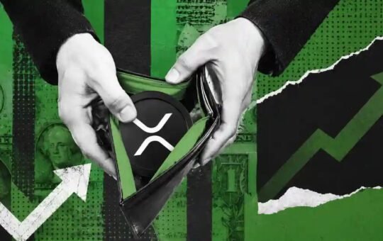 44,896 XRP Is Enough for the Top 1% of Holders