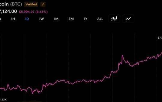 Bitcoin Approaches $80,000 as Vaneck's Sigel Sees $100,000 Target by 2027