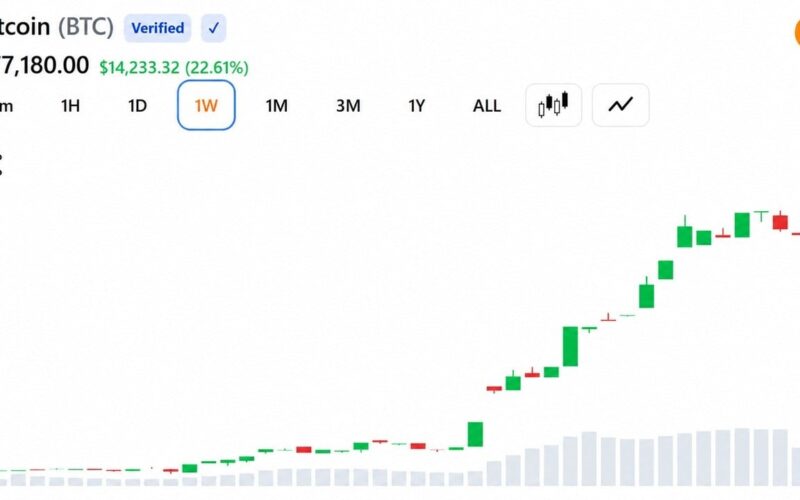 Bitcoin Jumps $10,000 in a Week as Shorts Lose $3 Billion