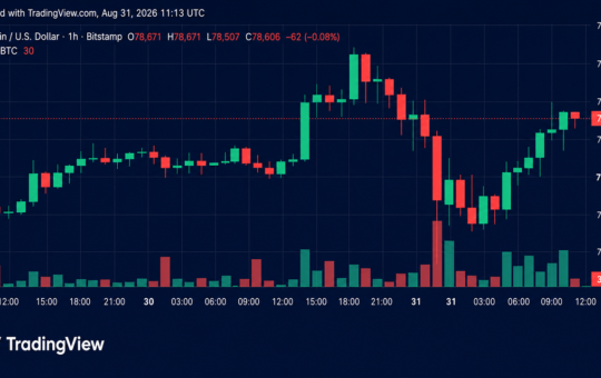 Bitcoin Price Battles Back From $77K as Bulls Eye $80K Breakout