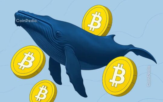 Bitcoin Price Faces a Familiar Trap as Whales Start Selling