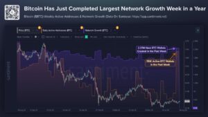 Bitcoin Wallets Spike to 2026 High as Coldcard Hack Fallout Spreads