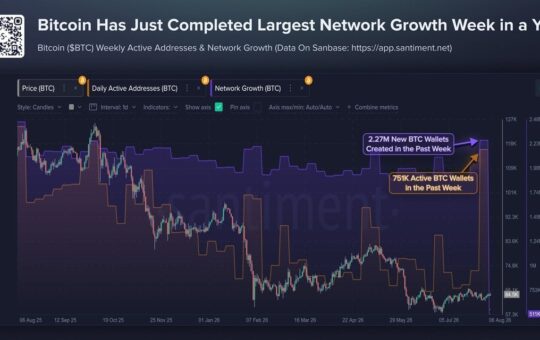 Bitcoin Wallets Spike to 2026 High as Coldcard Hack Fallout Spreads