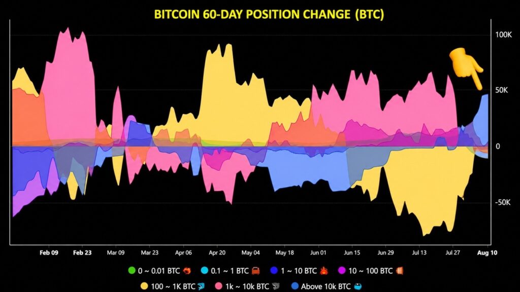 Bitcoin Whales Add 43,000 BTC, Ending Months-Long Selling Spree – Bitcoin News