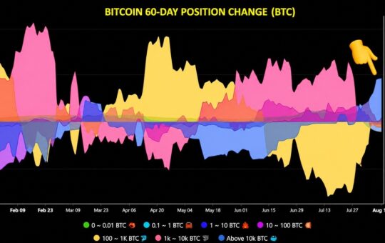 Bitcoin Whales Add 43,000 BTC, Ending Months-Long Selling Spree – Bitcoin News