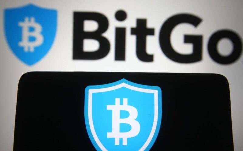 Bitgo Revenue Jumps 80% to $4.3B as Stablecoin Demand Grows