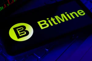 Bitmine Ethereum Holdings Reach 4.8% of Total ETH Supply