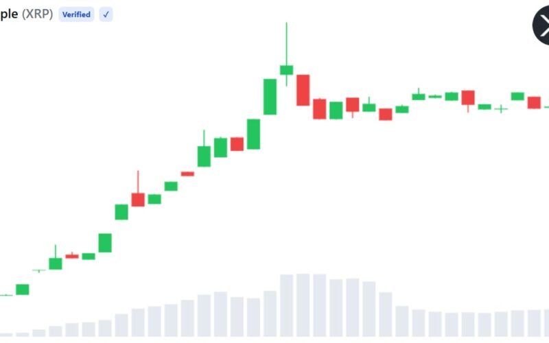 Bitwise XRP ETF Trading Volume Tops $200M Across Three Sessions