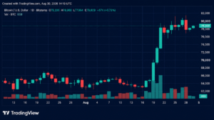 Bulls Reload for Another Assault on $81K as Bitcoin's Price Rises