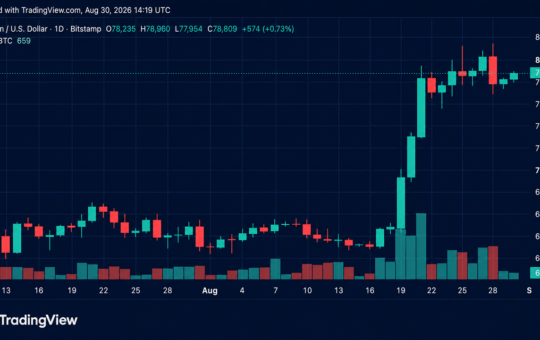 Bulls Reload for Another Assault on $81K as Bitcoin's Price Rises