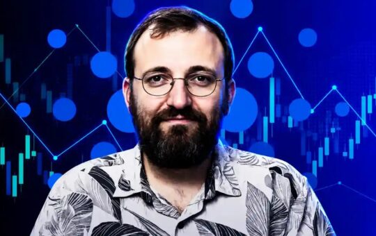 Cardano Founder Calls for Unity in Community