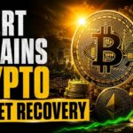 Crypto Market Pulse: Expert Explains Crypto Market Recovery। Top News। Powered by CoinSwitch