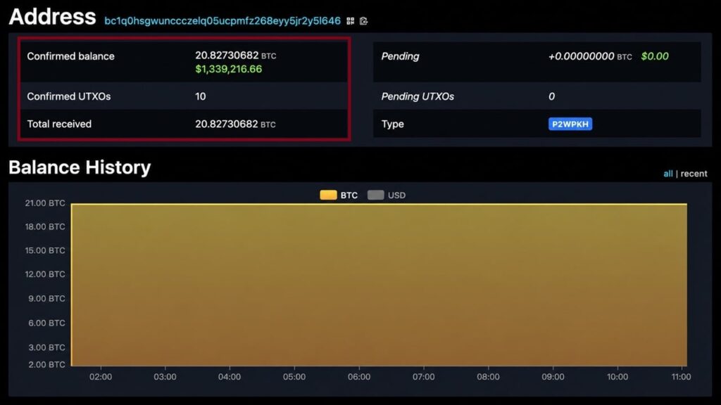 Maya Protocol Loses $1.7M, 20 BTC Traced to Wallet