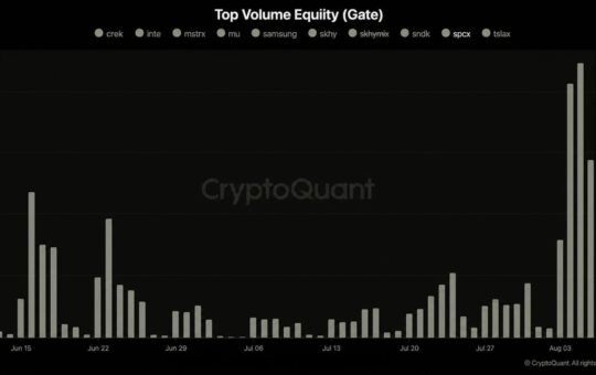 Musk's SpaceX Stock Rallies 6% as Tokenized Volume Hits $700M