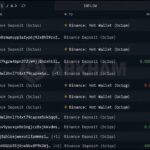 Mystery Whale Sells $576M in Bitcoin as BTC Nears $80,000