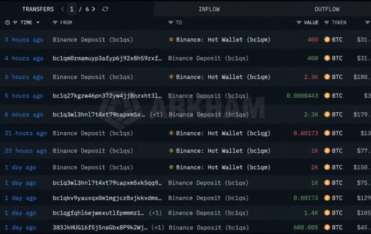 Mystery Whale Sells $576M in Bitcoin as BTC Nears $80,000