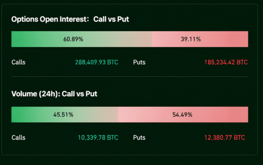 Options Bets Turn Defensive Ahead of a Bitcoin Price Showdown