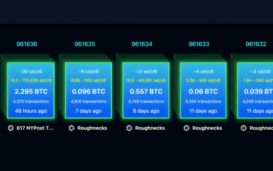Replay Attack Alarm Grows as BIP-110 Backers Brand Bitcoin 'Spamcoin'