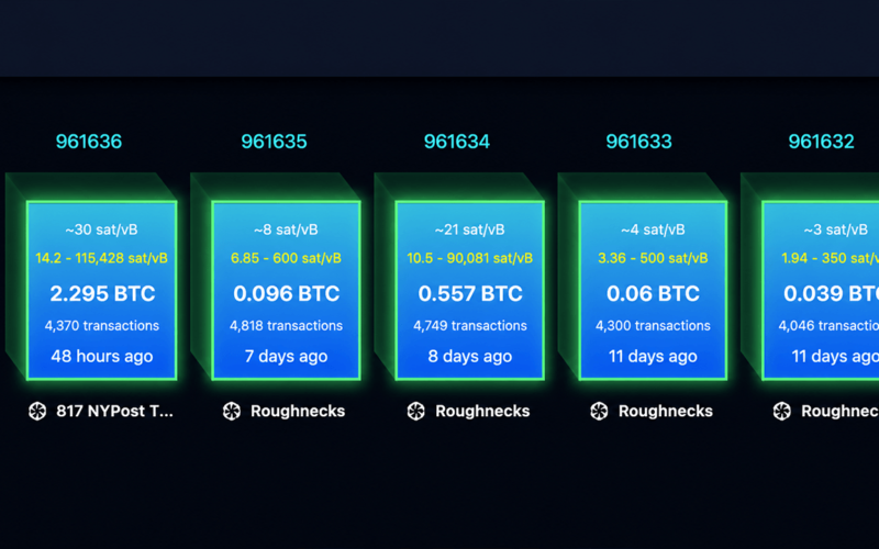 Replay Attack Alarm Grows as BIP-110 Backers Brand Bitcoin 'Spamcoin'