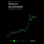 Shiba Inu gains over 20% in a day #shibainu #crypto #cryptonews