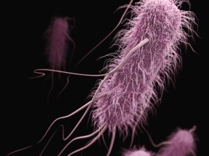 Stanford Evo 2 AI model generates phages against E. coli