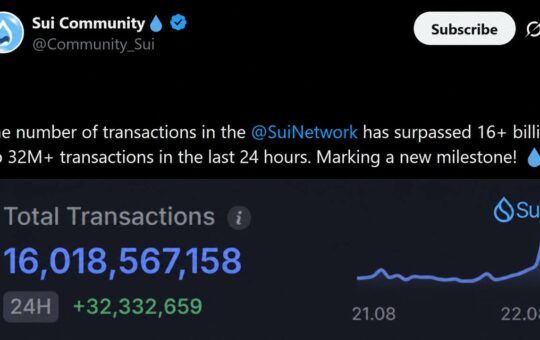 Sui Stablecoin Supply Holds Near $500M as Volume Tops $65B