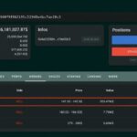 Whale Places $203M Short Bet Against Tokenized SpaceX Stock