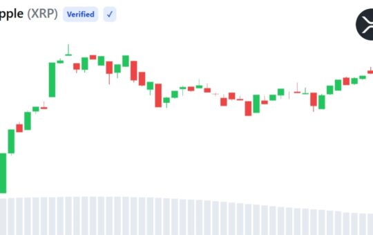 XRP Active Addresses Hit 2-Month High as Sentiment Turns Bearish