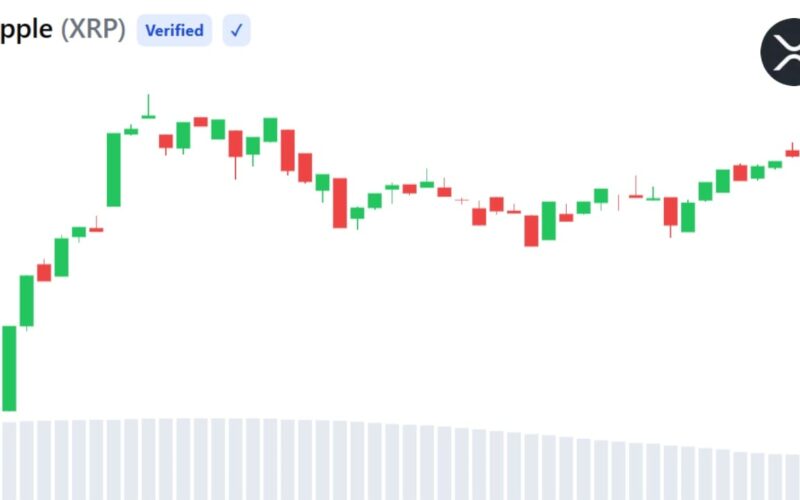 XRP Active Addresses Hit 2-Month High as Sentiment Turns Bearish