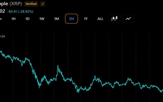 XRP Millionaire Wallets Rise Again as Token Price Falls 29% in 3 Months