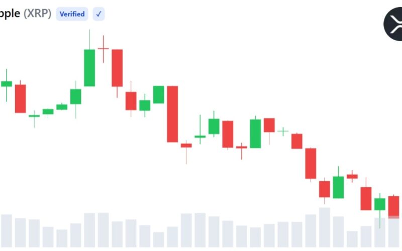 XRP Slides 69% From Peak While Existing Wallet Activity Climbs