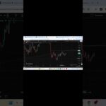 #bitcoin #cryptonews #crypto #liquidation #beachcombing #cryptotrading #life #trading #btc