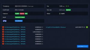A 2019 Bitcoin Whale Moved $378M and Paid Just $1 to Do It – Bitcoin News