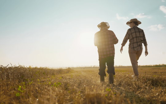 A 52-Year-Old Mississippi Farmer Faces Elon Musk’s Data-Center Push