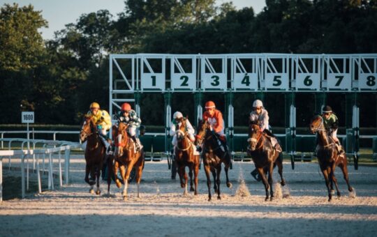 A 97% Favorite Lost at Goodwood and the Bookmakers Still Took a Hit