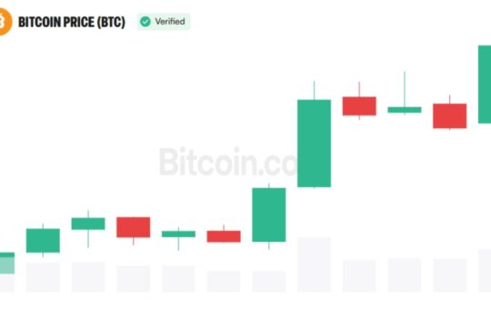 Analyst Sees 75% Chance Crypto Cycle Has Turned as Bitcoin Pulls Back