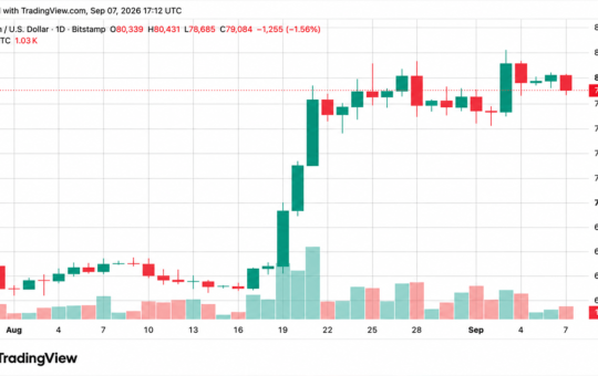 Bitcoin Price Drops Below $79K Line as Longs Get Torched in $208M Rout