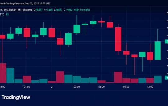Bitcoin Price Gets Squeezed Below $78K as Bulls Defend the Floor