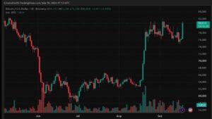 Bitcoin Price Hits $81K on Renewed Spot Demand, Leverage Reset