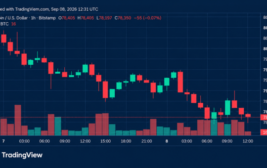 Bitcoin Price Loses Steam as Bears Circle Critical $78K Floor