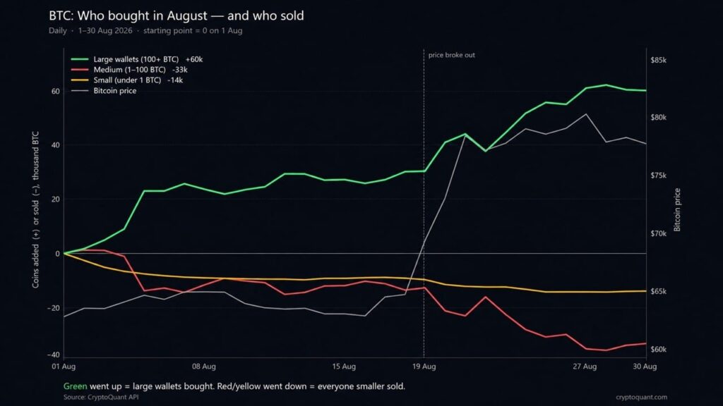 Bitcoin Price Rally Hid a 60,000 BTC Whale Buying Spree