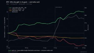 Bitcoin Price Rally Hid a 60,000 BTC Whale Buying Spree