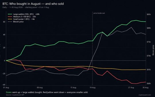 Bitcoin Price Rally Hid a 60,000 BTC Whale Buying Spree