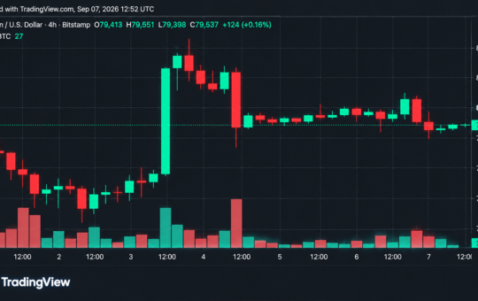Bitcoin Price Rejected at $80.5K as Bulls Scramble to Defend $79K
